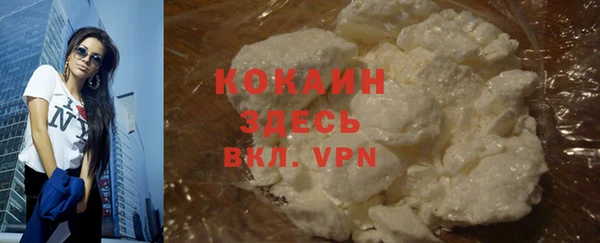 гидра Липки