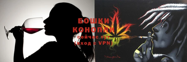 гидра Липки