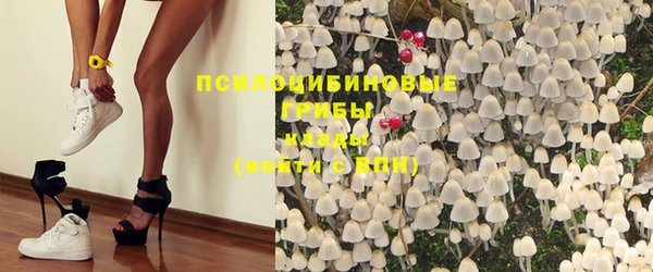 гидра Липки