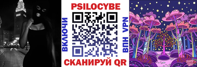 Псилоцибиновые грибы мицелий  купить наркотики цена  Новая Усмань 